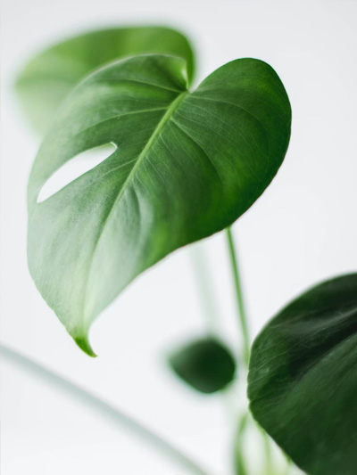 omgeving van psycholoog praktijk Gouda